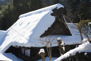 Thatched roof house covered in snow